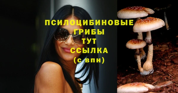 шишки Арсеньев