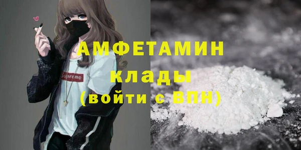 шишки Арсеньев