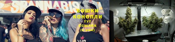 шишки Арсеньев