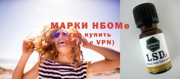 шишки Арсеньев