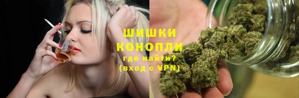 шишки Арсеньев