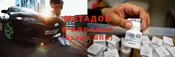 шишки Арсеньев