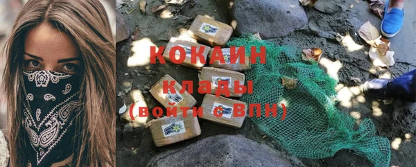 шишки Арсеньев