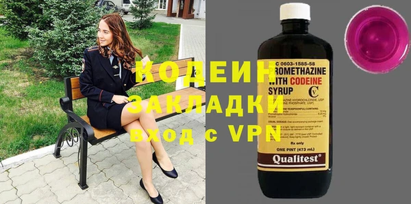 шишки Арсеньев