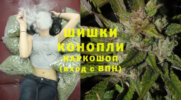 шишки Арсеньев