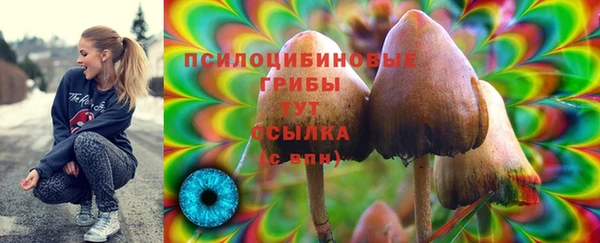 соль курить ск Армянск