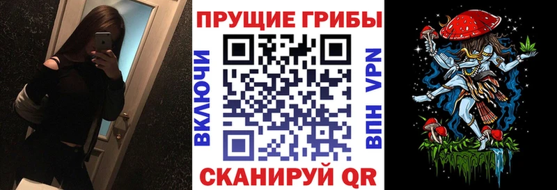 МЕГА как зайти Чаплыгин Псилоцибиновые грибы Psilocybine cubensis